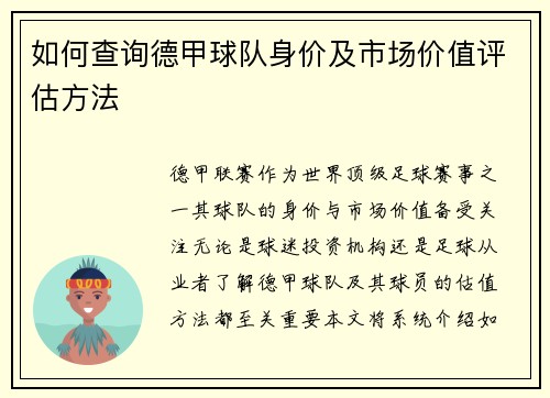 如何查询德甲球队身价及市场价值评估方法