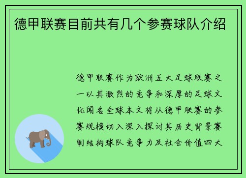 德甲联赛目前共有几个参赛球队介绍